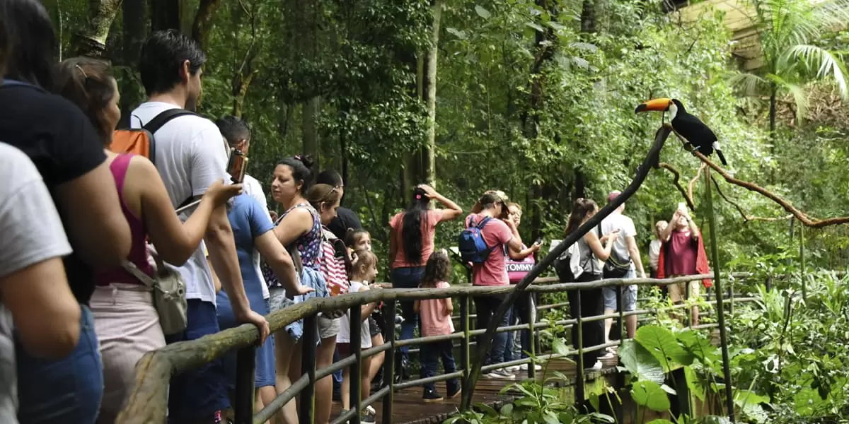 Recorrido turístico privado en la región de Iguazú